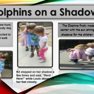Dolphins on a Shadow Hunt panel
